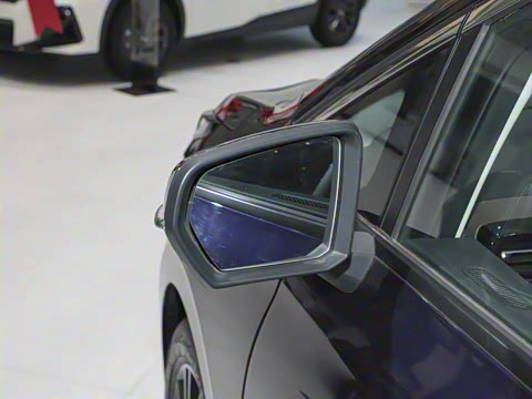 2024�� ��ҫϵ�� 2.0L ���ڰ�