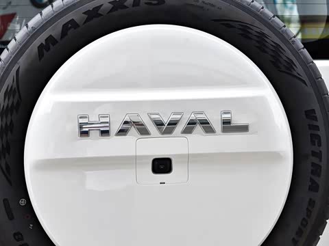 2025�� 2.0T 4WD Pro