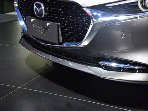 2020�� 2.0L Xѹȼ������