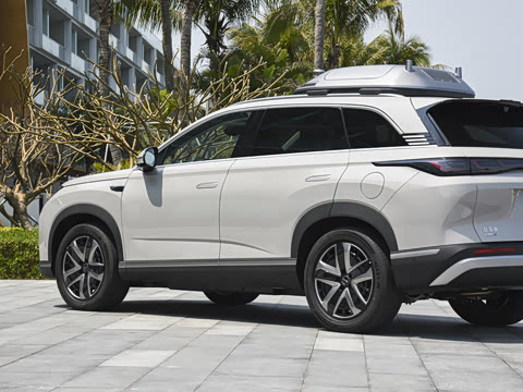 2025�� 135 �����ܼ����״��