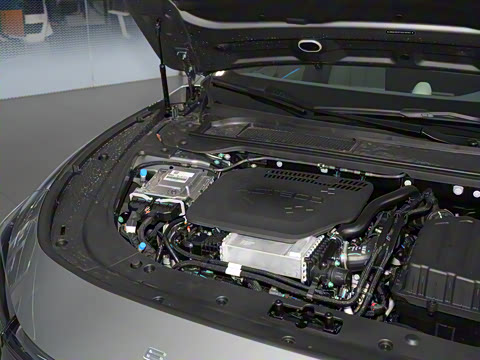 2025�� ���� Max ����������ʻ