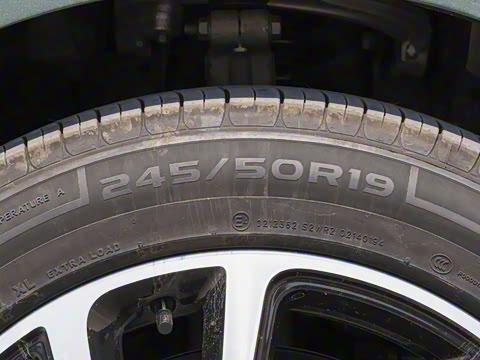 2025�� ���� Plus ��������