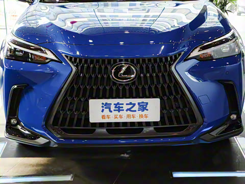 2025�� 260 ǰ�� �ر��