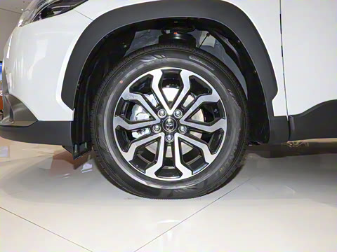 2024�� 2.0L ���ܵ��˫�� ������