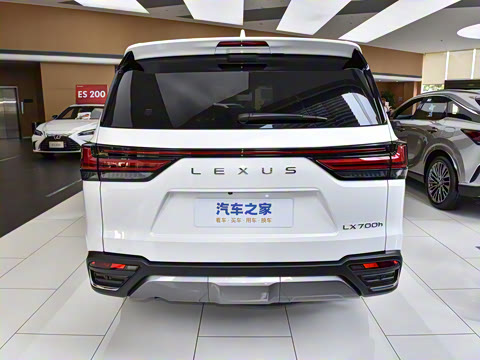 2025�� 700h VIP������