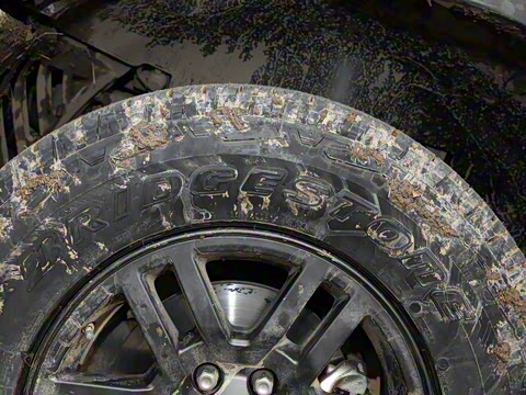 2025�� ��׼��