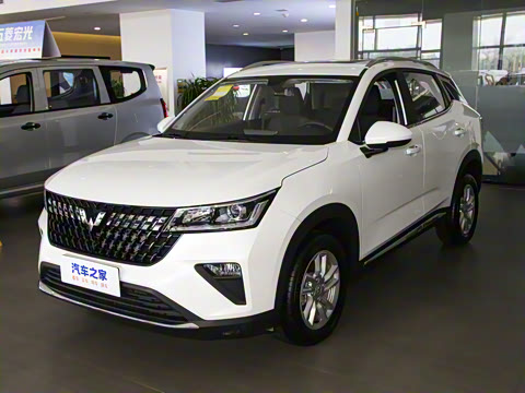 2022�� 1.5L �ֶ�������