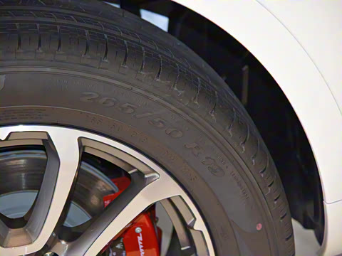 2021�� 3.0T ������