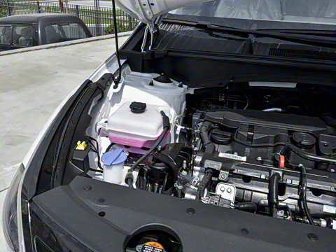 2025�� 1.5T �������������