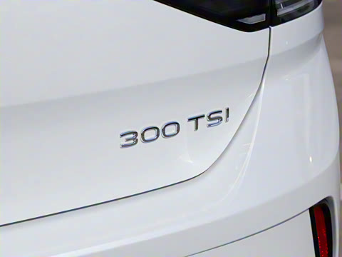 2025�� 300TSI DSG�����ǹ��