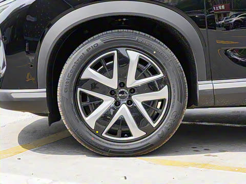 2025�� 150 �캽+��