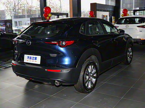 2024�� 2.0L �Զ�������