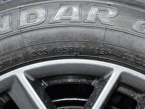 2025�� ���� 2.0L �������İ�