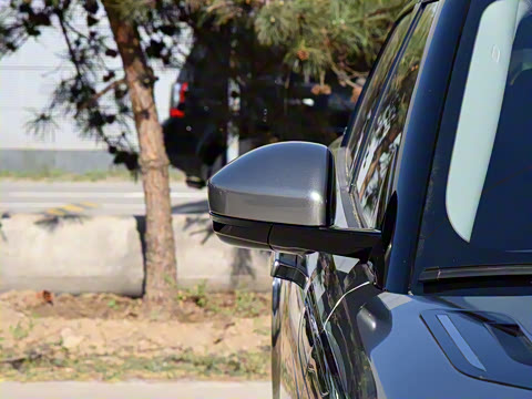 2021�� ����L P300e ������