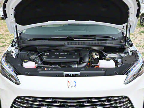 2025�� ½�� ������ 7��