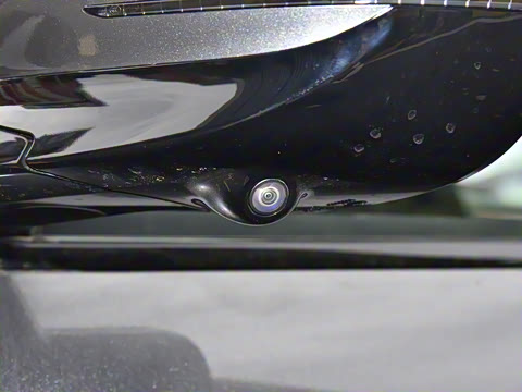 2025�� Max�����