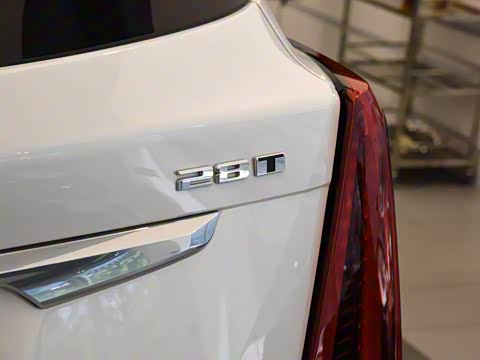 2020�� �Ŀ� 28T ������