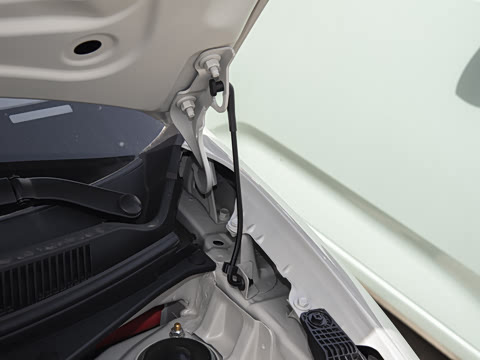 2025�� 333km ������