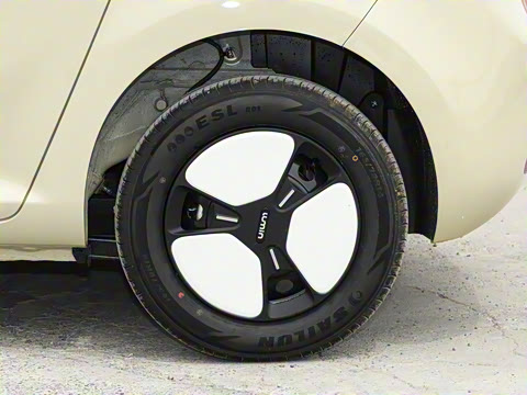 2025�� 205km ���߿�