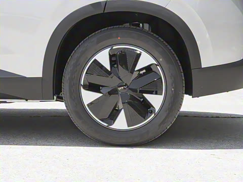 2025�� 205��������������