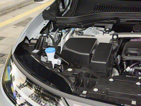 2026�� ���� 300�����״������