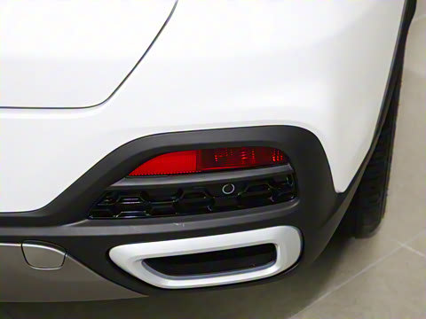 2024�� 230TCI �Զ��³��� 5��