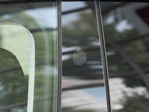 2025�� ����������