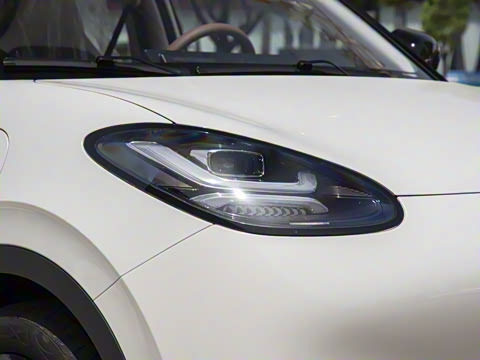 2025�� 333km ������