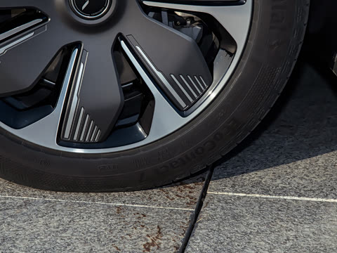 2025�� 750��ѡ��