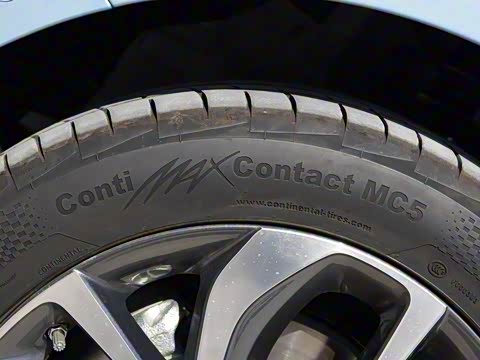 2020�� �����ǻ��� PLUS