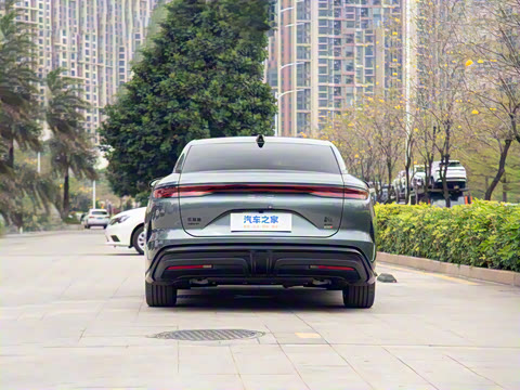 2025�� DM-p ���������״��콢��