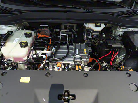 2025�� 565km ������