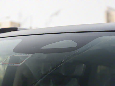 2024�� V 300 L ����������