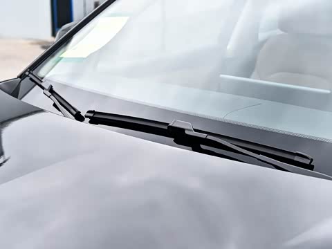 2025�� 165km ������������ 5��