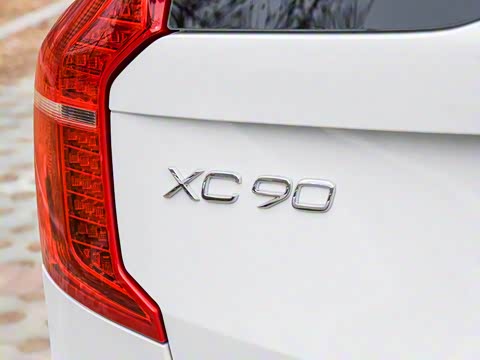 2019�� T6 �˶��� 7�� ��V