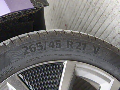 2025�� ����������Max