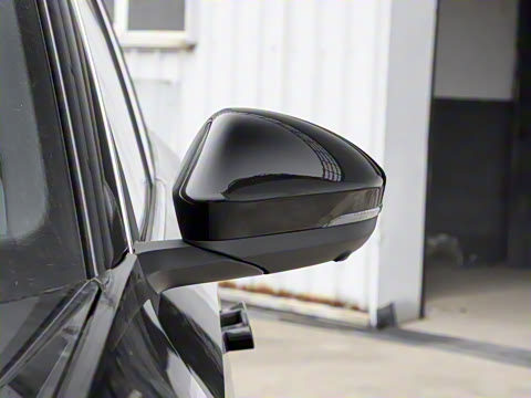 2025�� ;�� Pro 450TSI �����ݺ��