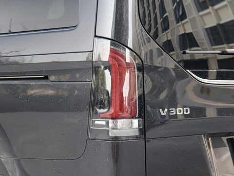 2024�� V 300 �캽��