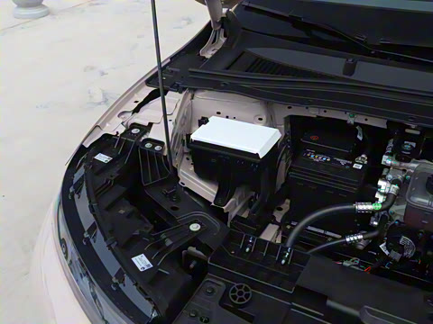 2025�� 650������