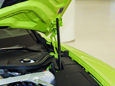 2024�� 4.0T GT V8