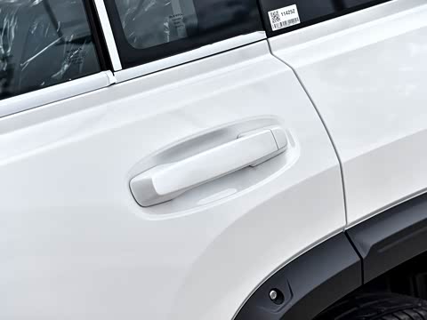 2025�� 2.0T 4WD Pro