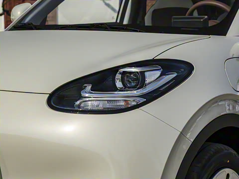 2025�� 203km ������