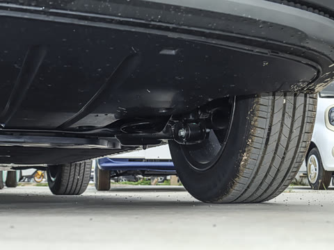 2025�� 565km ������