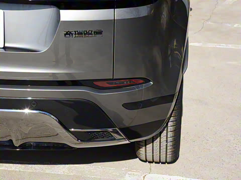 2021�� ����L P300e ������