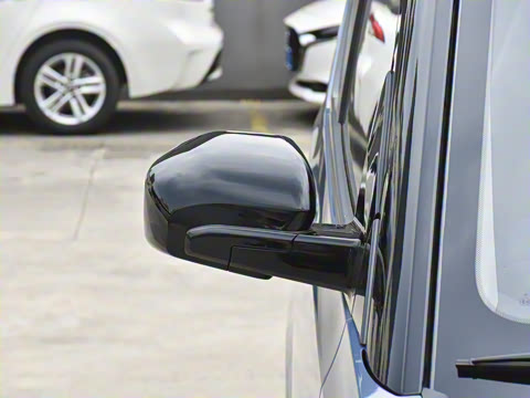 2022�� ������������ �������