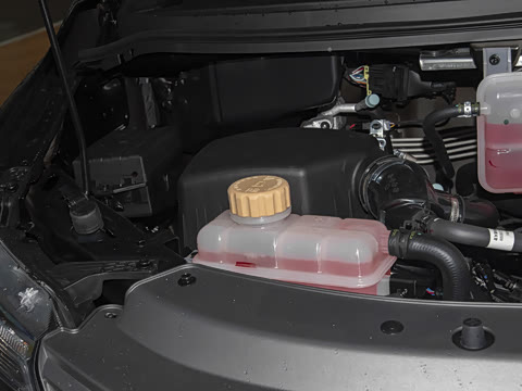 2025�� 110km���� ������5��