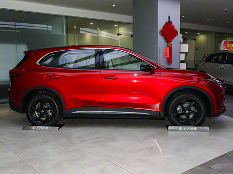 2025�� 425pro ������