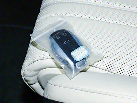 2024�� 4.0T GT V8