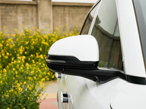 2025�� DM 200KM���������״��콢��