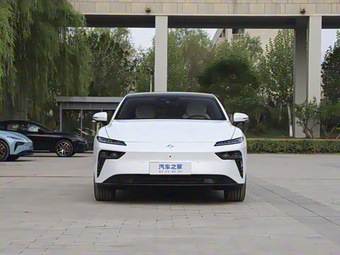 2025�� ���� 565����Max�캽��